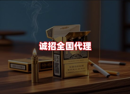专业团队
